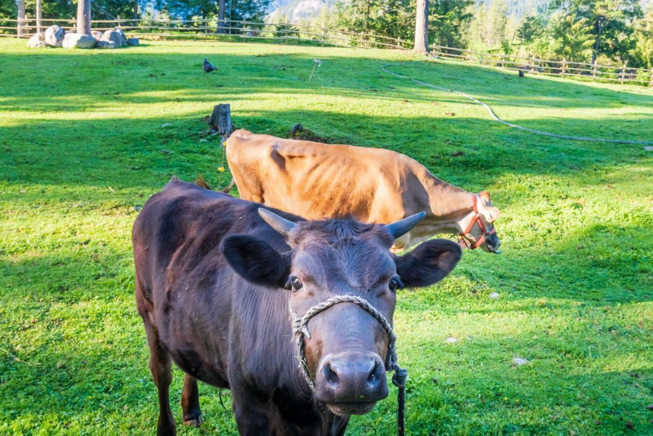 Villa Sweetwater Lane Farm Mount Currie Exterior foto